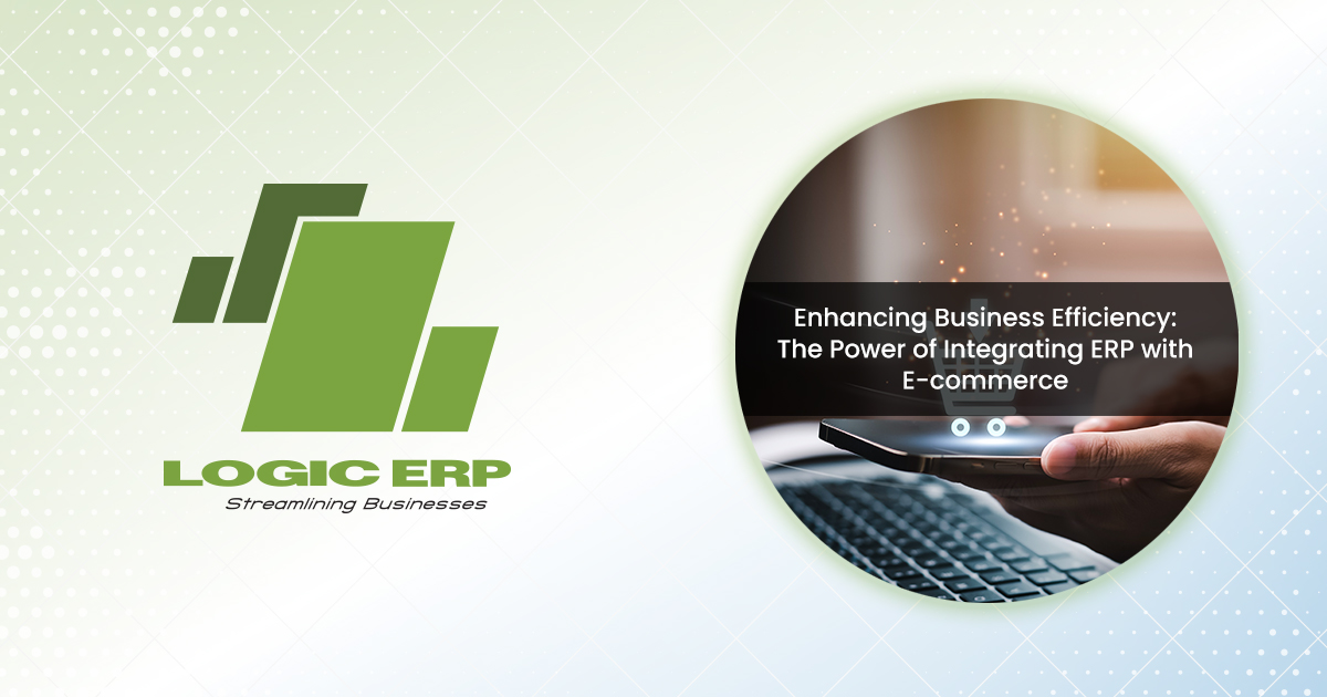 Streamlining Operations: Maximizing Efficiency through ERP and E-commerce Integration