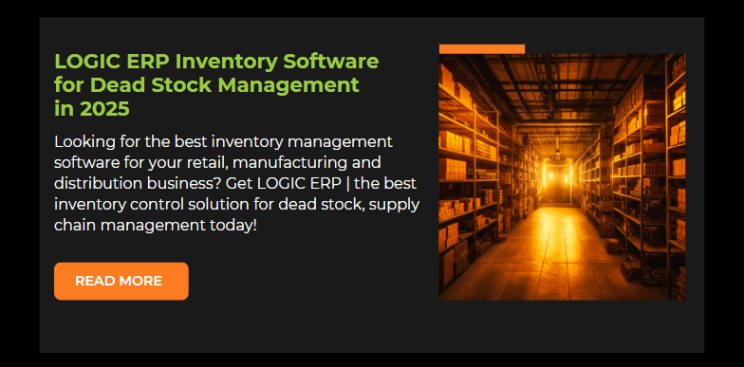 LOGIC ERP Inventory Software for Dead Stock Management in 2025